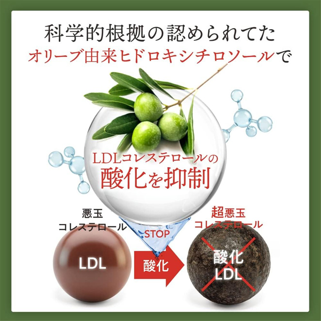 オリーブ由来ヒドロキシチロソールでLDLコレステロールの酸化を抑制
